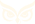 NAZR Logo